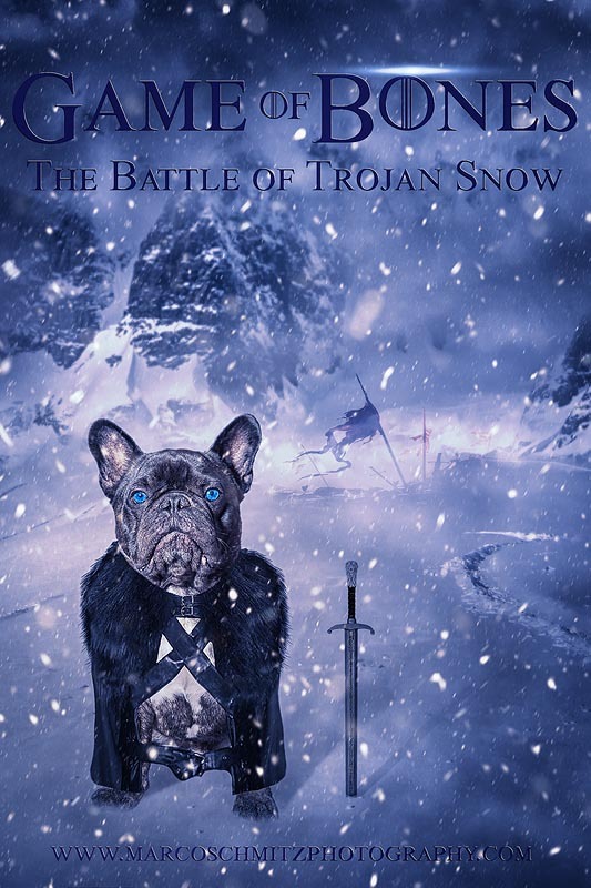 Trojan-Snow